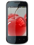Best available price of Celkon A19 in Rod