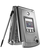 Best available price of Motorola MPx in Rod