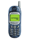 Best available price of Motorola T190 in Rod