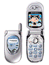 Best available price of Motorola V291 in Rod