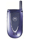 Best available price of Motorola V66i in Rod